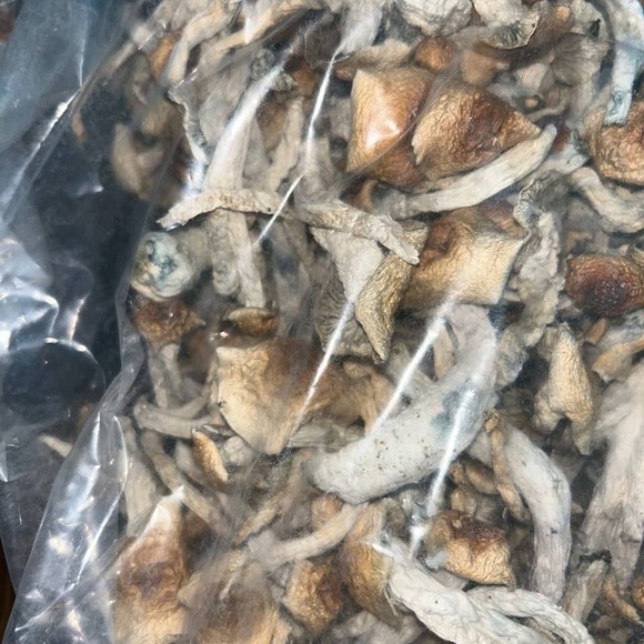 Mushrooms - Picture 2 of 2